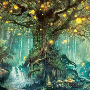 Painting By Numbers Magic Forest Ancient Trees
