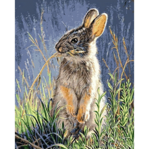 DIY Painting By Number, Animals Canvas Art, Cute Rabbit